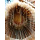 WAR BONNET