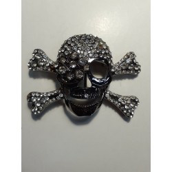 SILVER PIRATE