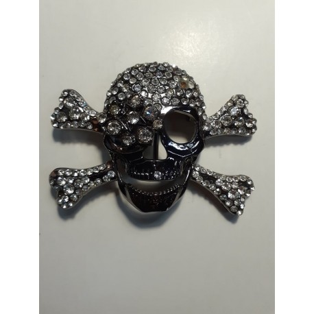 SILVER PIRATE